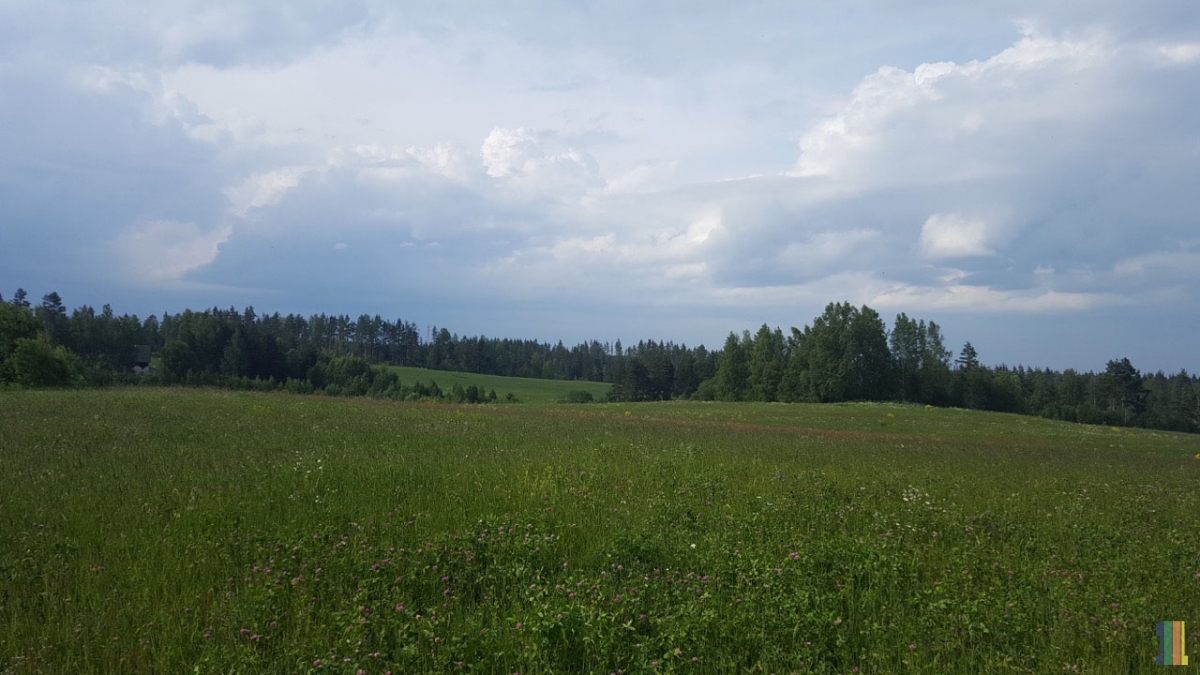 ����� ���� ������ �� ����� �������� ����������� �����