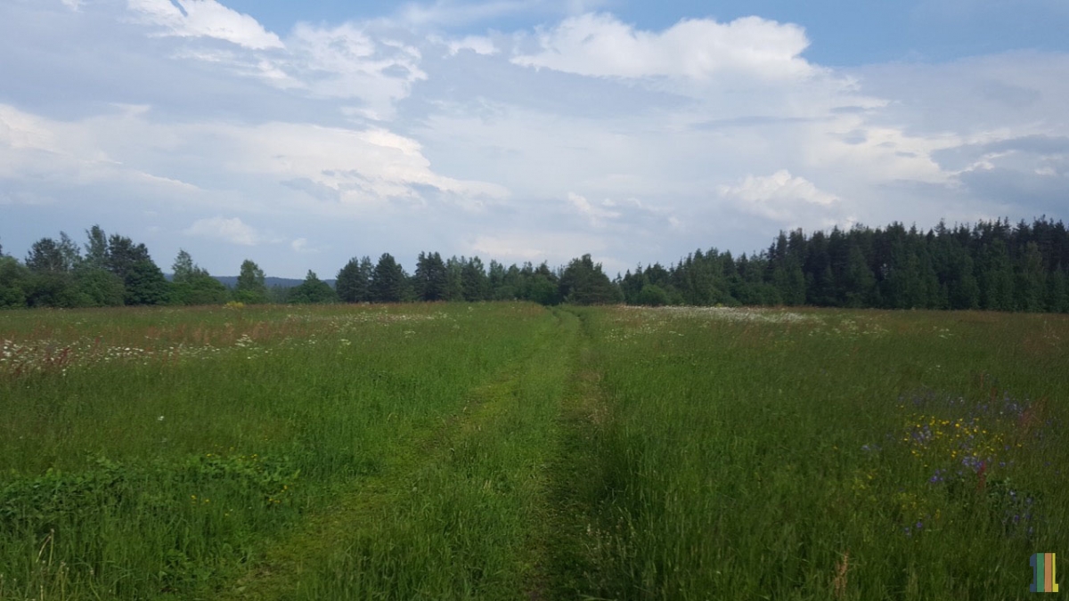 ����� ���� ������ �� ����� �������� ����������� �����