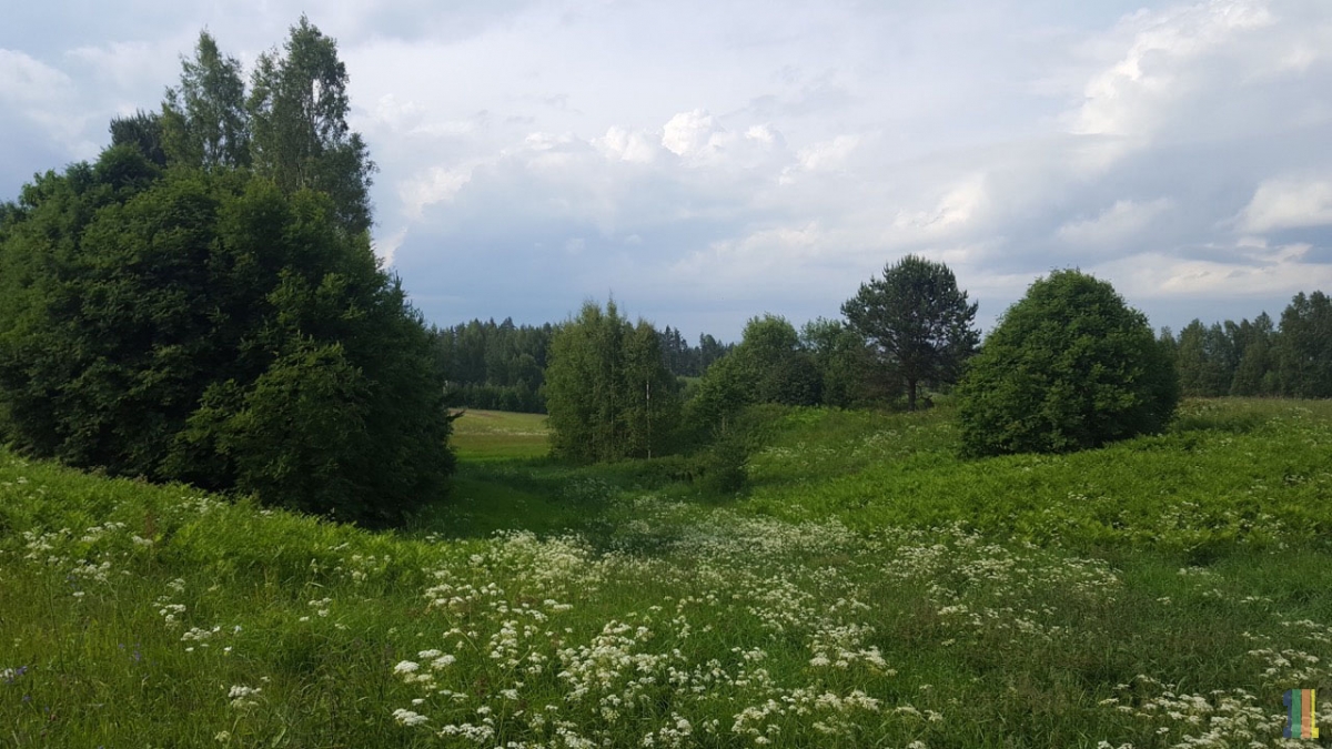 ����� ���� ������ �� ����� �������� ����������� �����