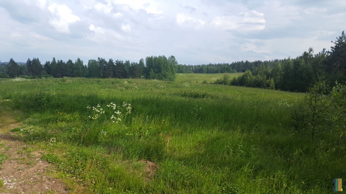 ����� ���� ������ �� ����� �������� ����������� �����