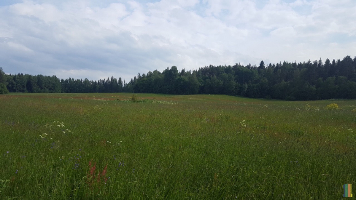 ����� ���� ������ �� ����� �������� ����������� �����