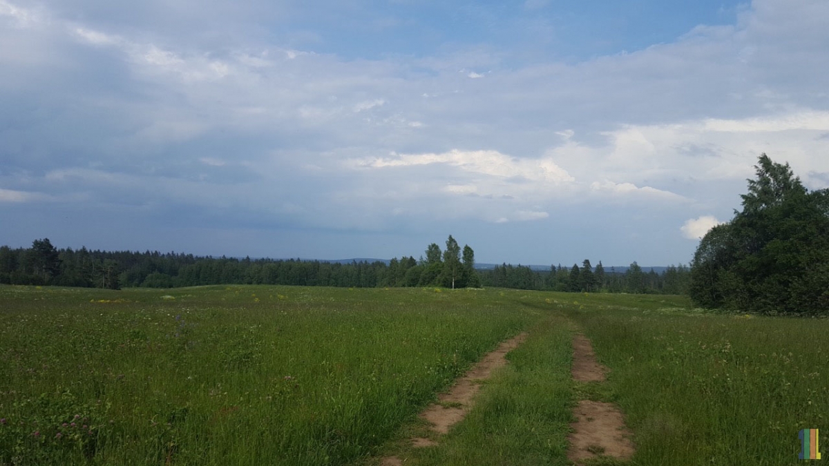 ����� ���� ������ �� ����� �������� ����������� �����