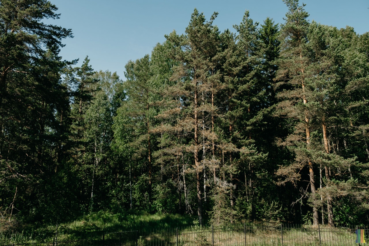 ���������� �������� � ������������� �� ���������