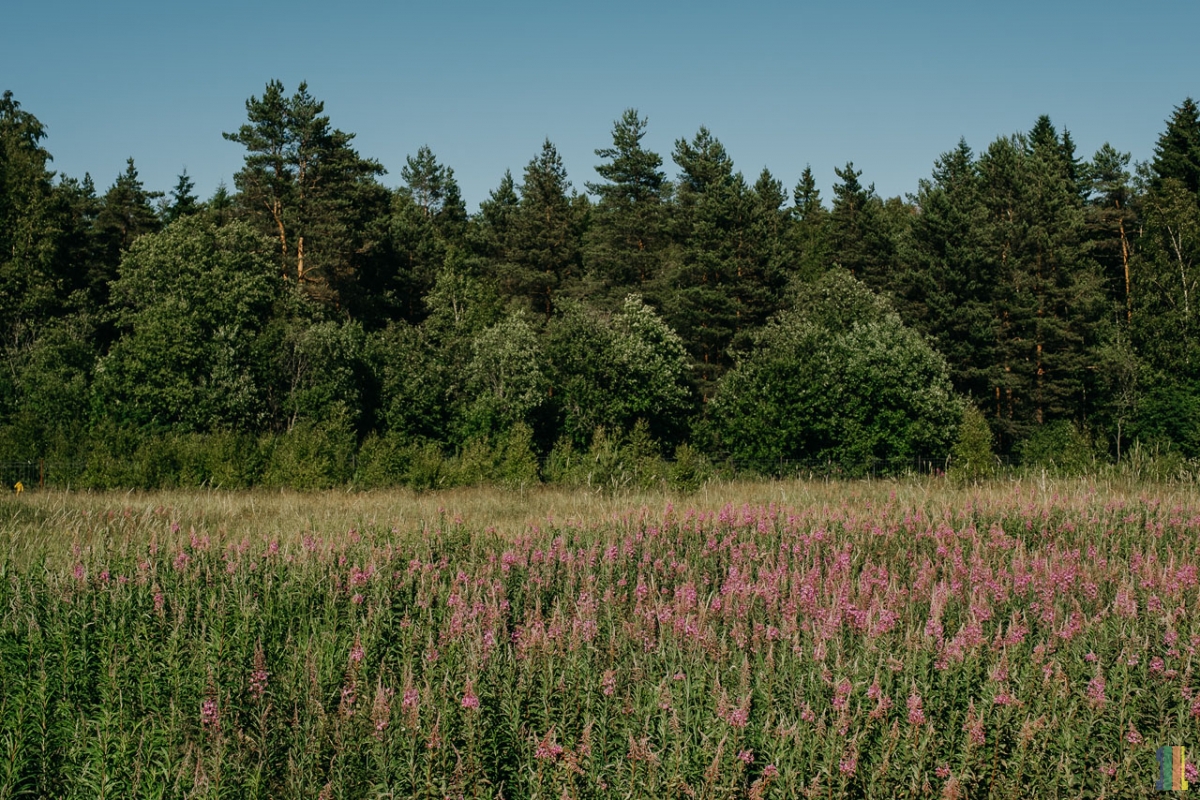 ���������� �������� � ������������� �� ���������