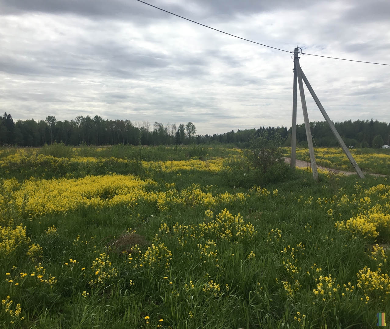 Земля Спб Купить Участок