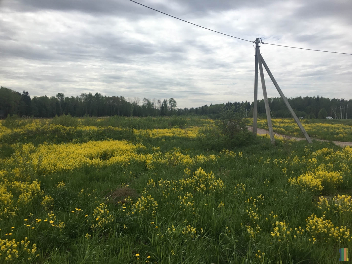 �����-���