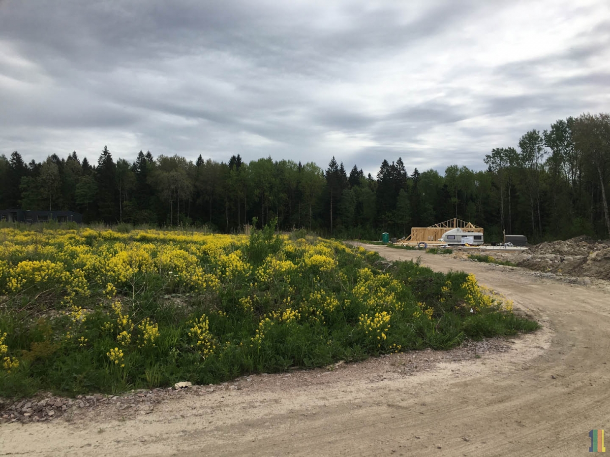 �����-���