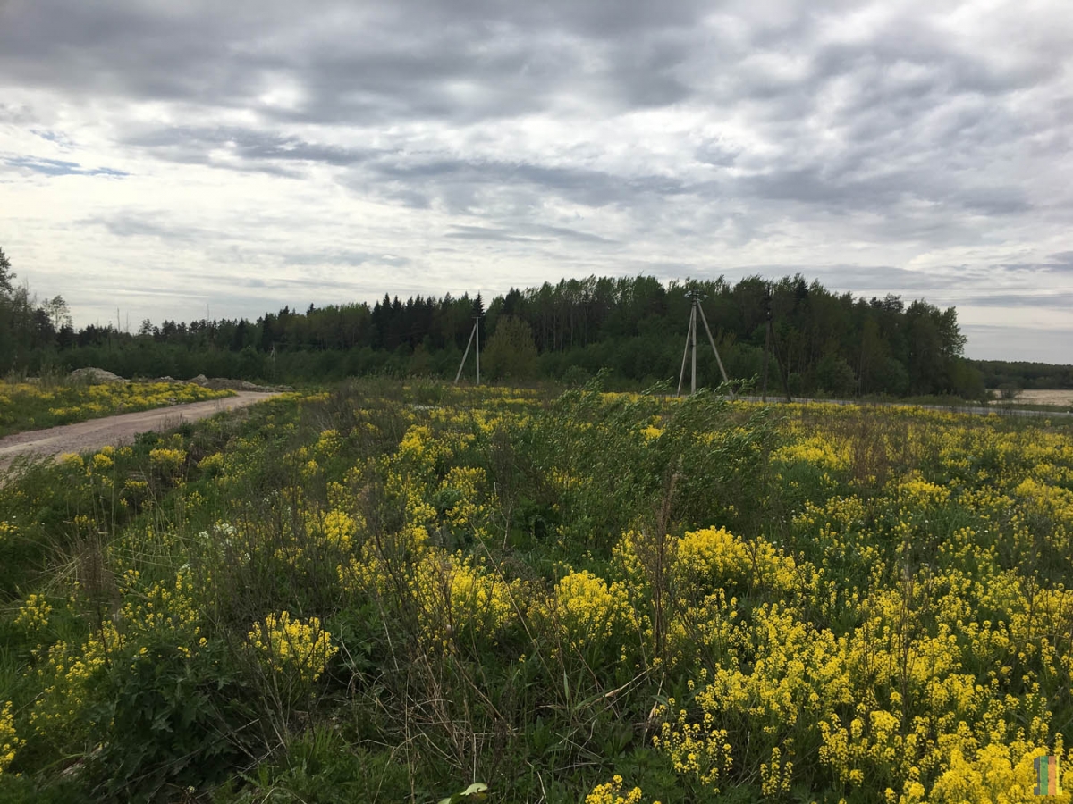 �����-���