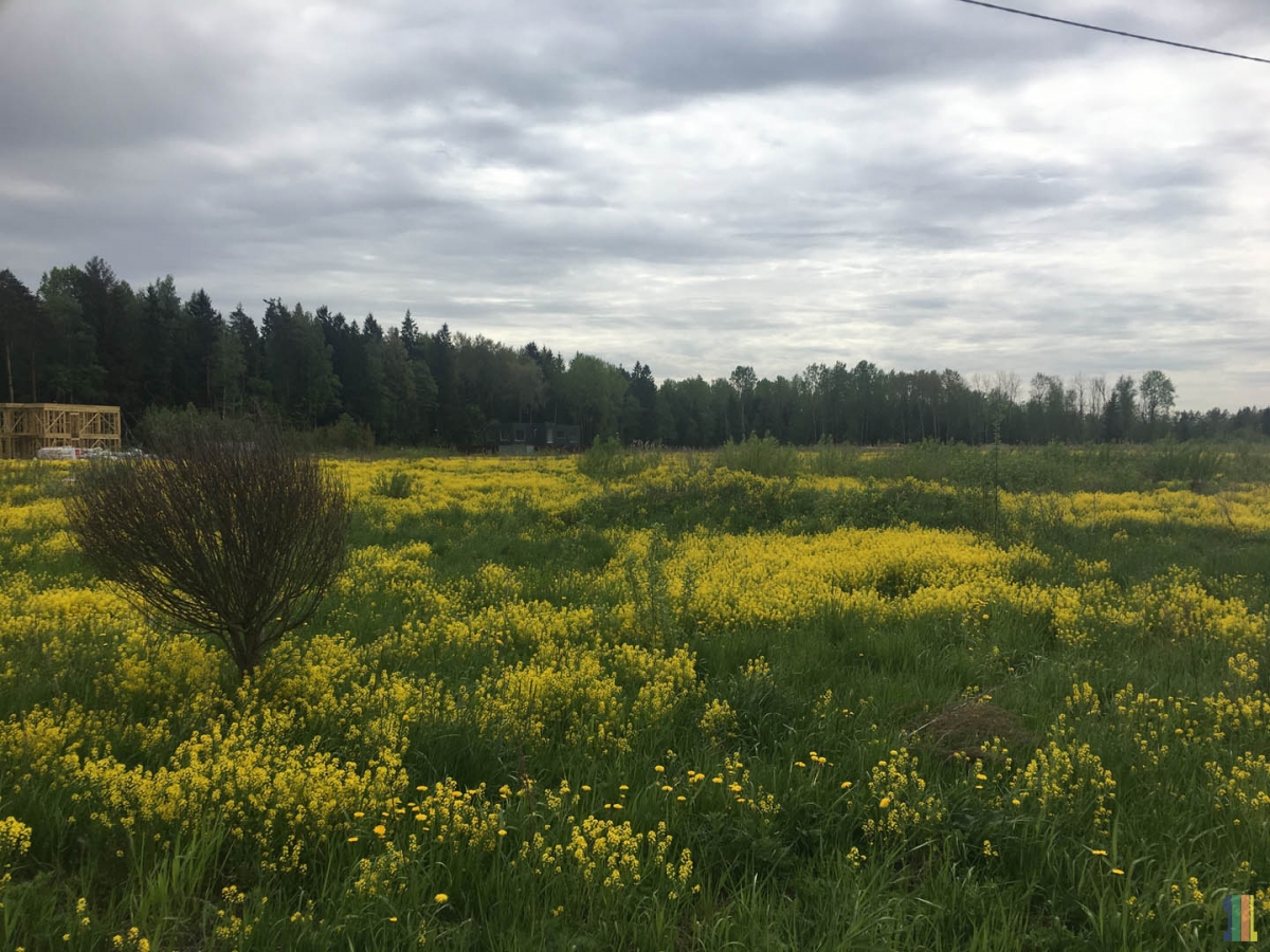 �����-���