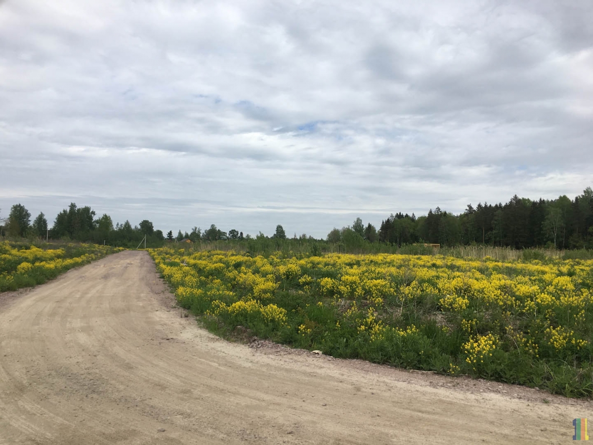 �����-���