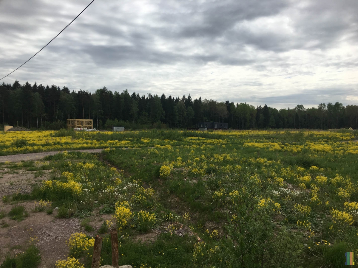 �����-���