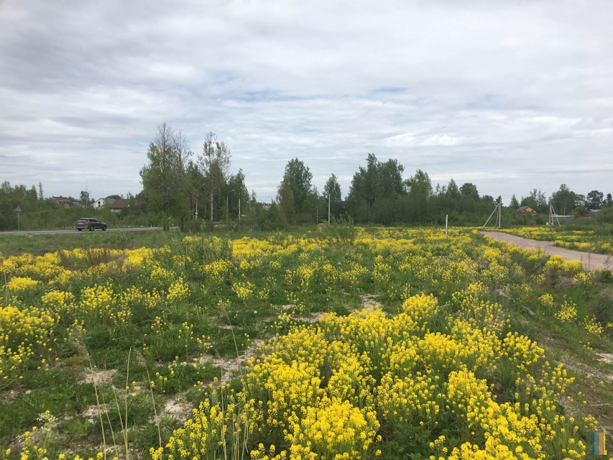 �����-���