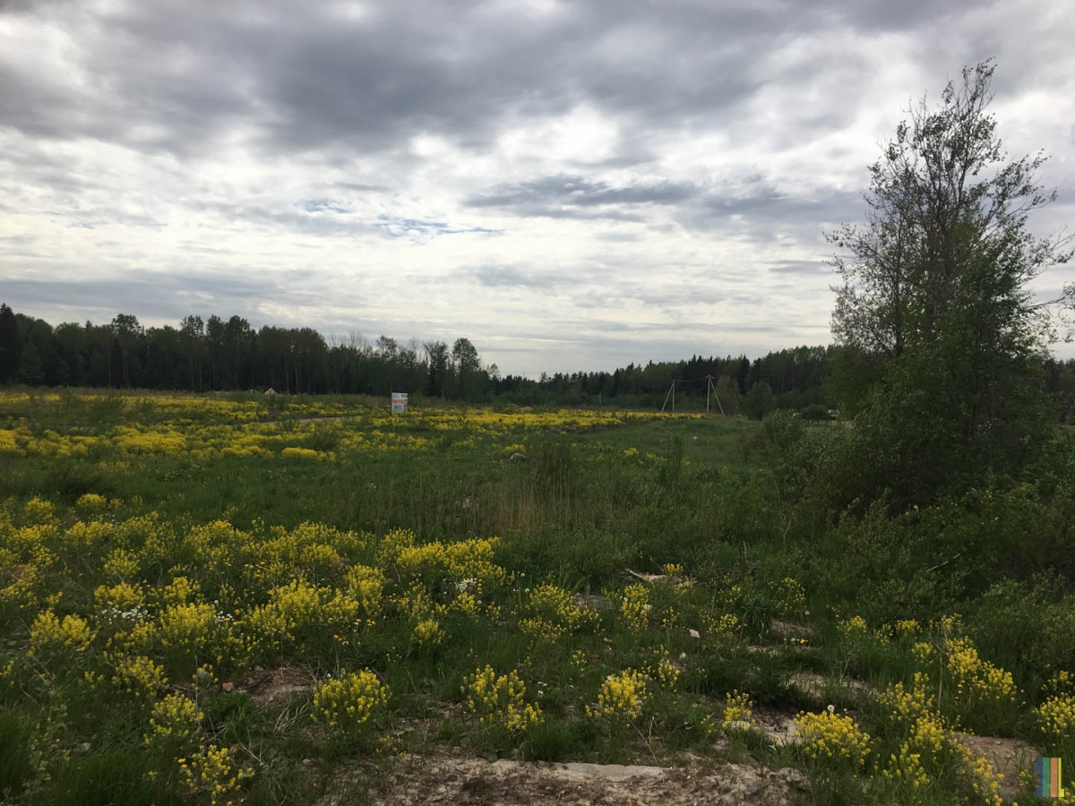 �����-���