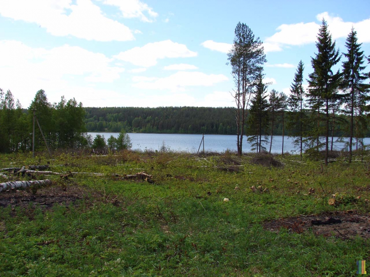 ���������� ������  � ���� � ��� � �����.