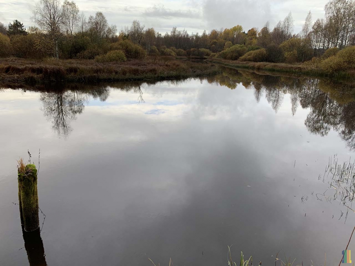 ���������� ������  � ���� � ��� � �����.