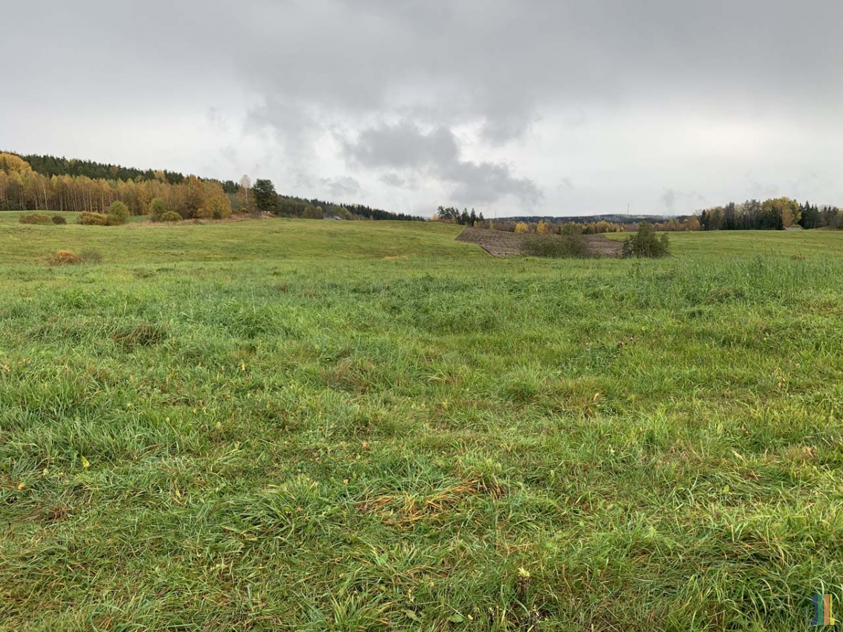 ���������� ������  � ���� � ��� � �����.