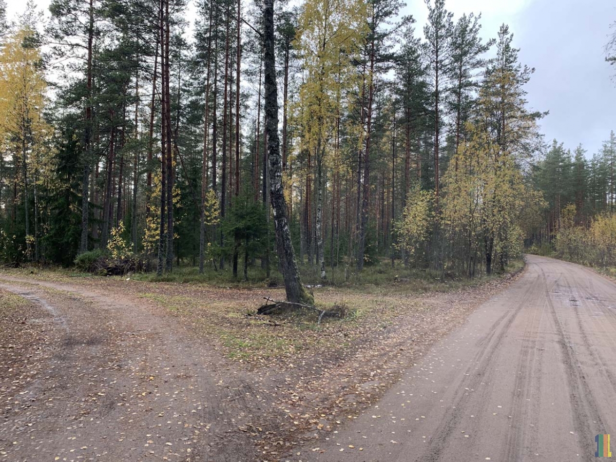 ���������� ������  � ���� � ��� � �����.