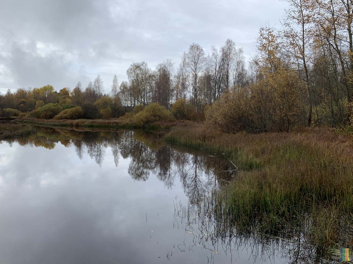 Фермерский посёлок  И река и лес и озеро.