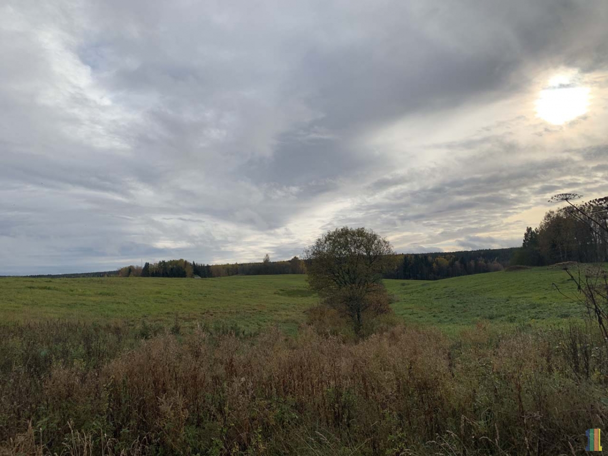 ���������� ������  � ���� � ��� � �����.