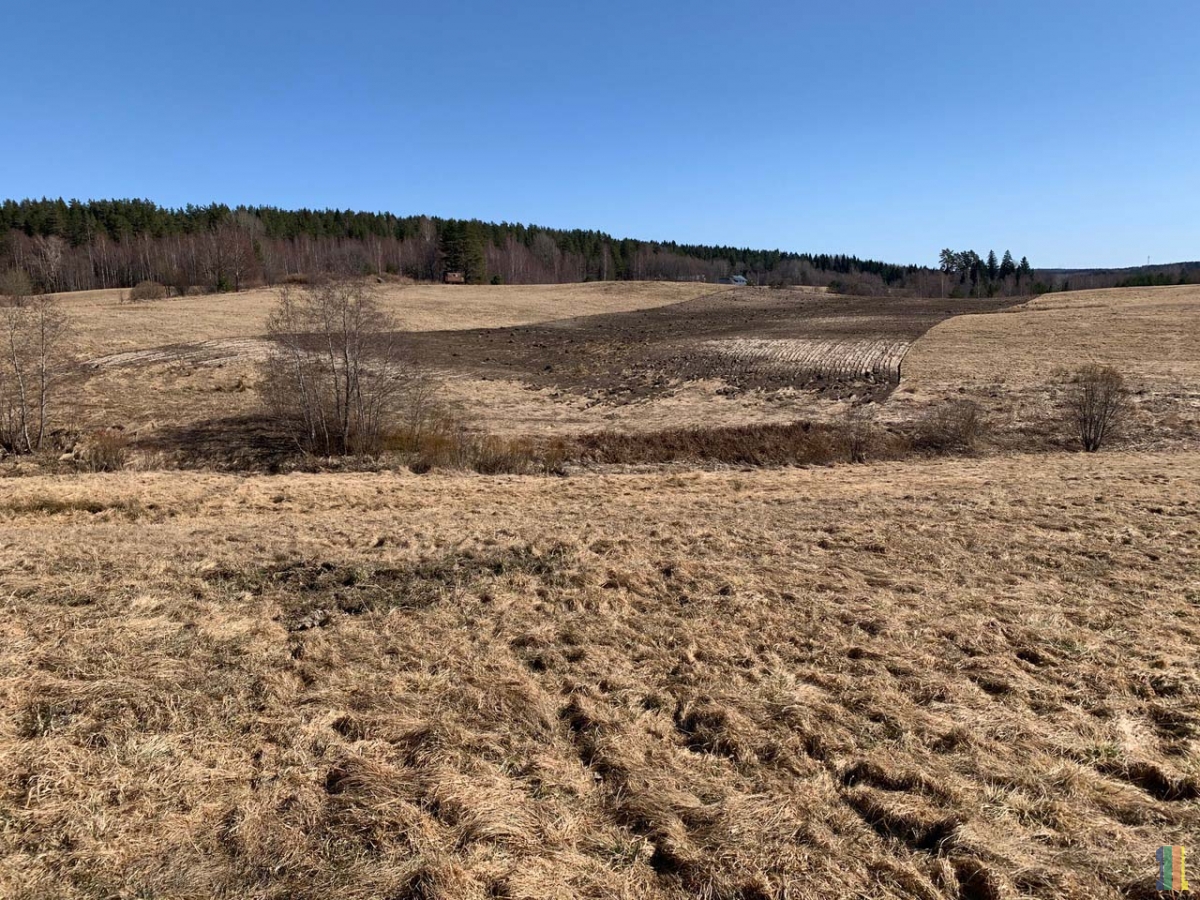 ���������� ������  � ���� � ��� � �����.