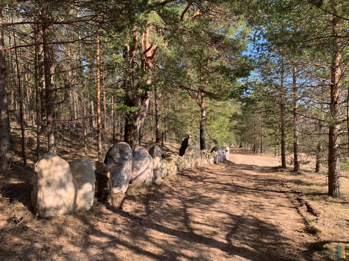 ���������� ������  � ���� � ��� � �����.