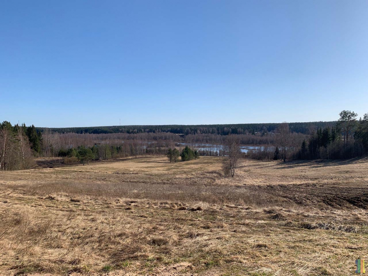 ���������� ������  � ���� � ��� � �����.