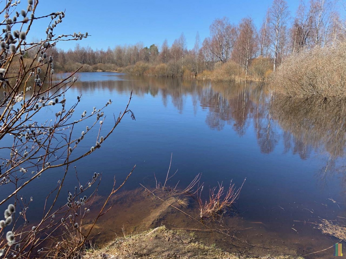 ���������� ������  � ���� � ��� � �����.