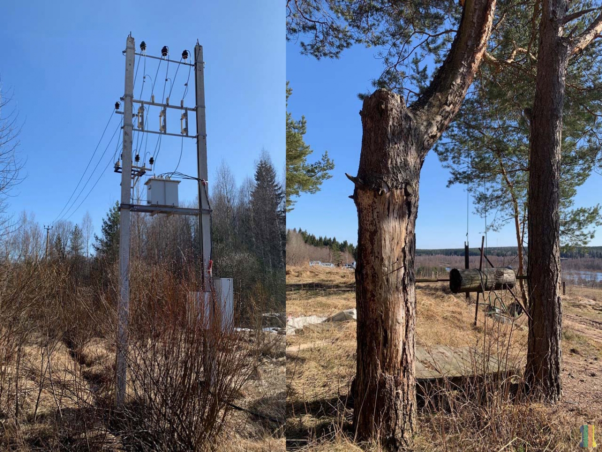 ���������� ������  � ���� � ��� � �����.