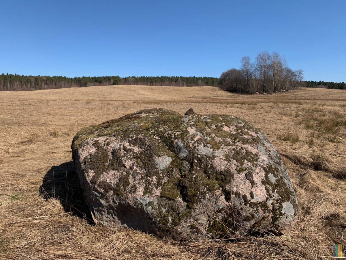 ���������� ������  � ���� � ��� � �����.