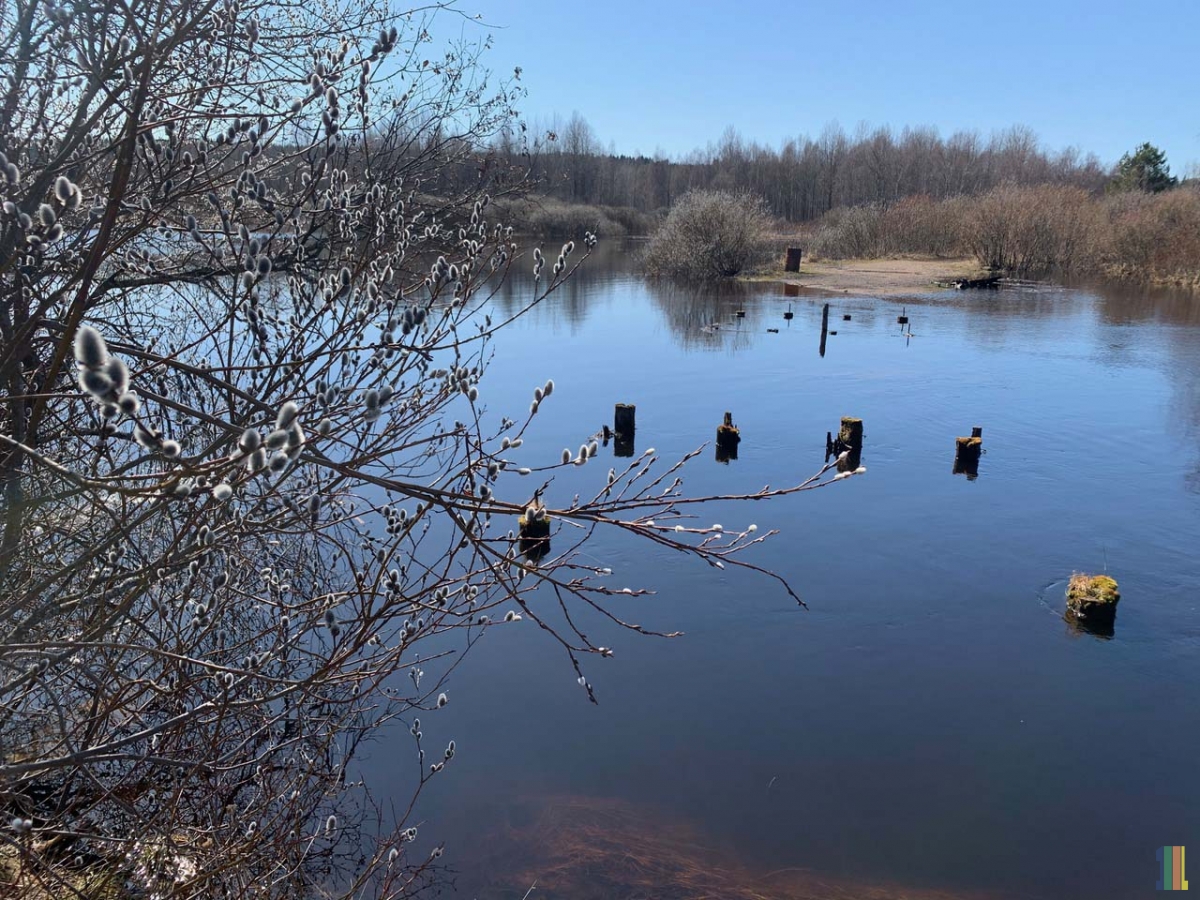 ���������� ������  � ���� � ��� � �����.